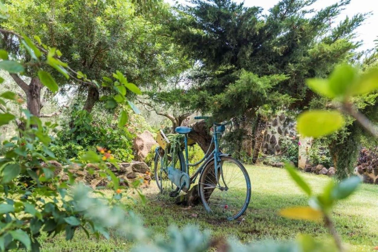 Villa Con Immenso Giardino Orosei Extérieur photo